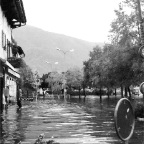 Esondazione Ascona5