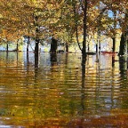 Esondazione Locarno dintorni 1415