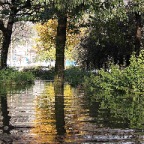 Esondazione Locarno dintorni 1424