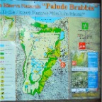 Palude di Brabbia INARZO