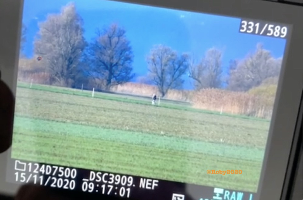 Schermata 2020-11-15 alle 11.35.48