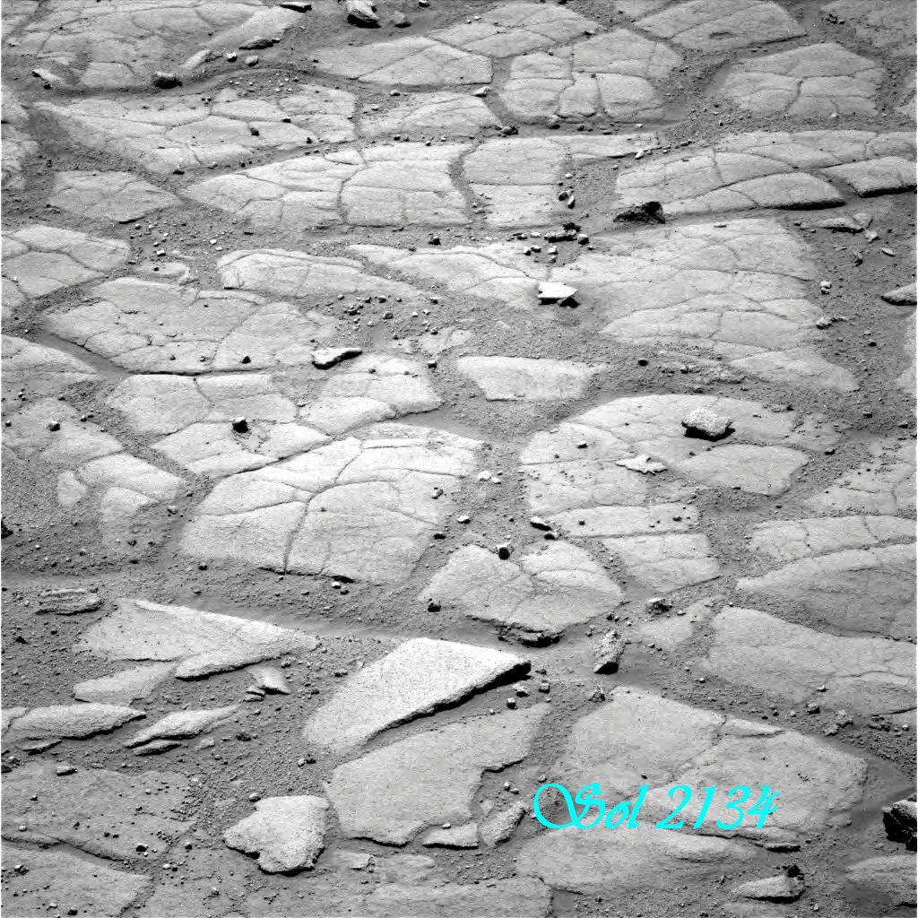 Sbirciatina Su Marte 2010 (3)