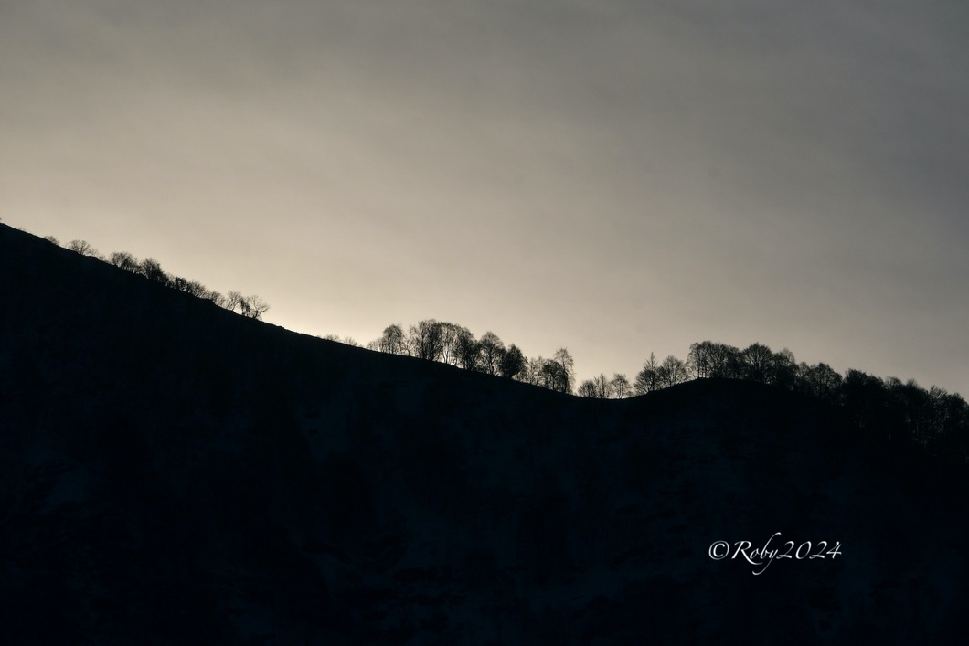 FOT_6089_01 copia