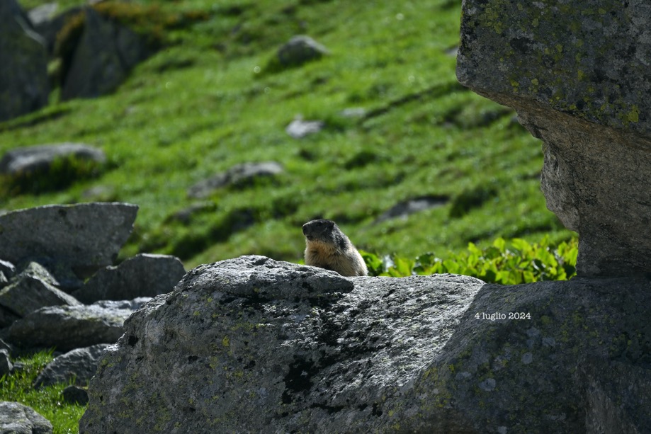 suolo fragile sulle Alpi 3