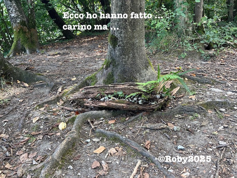 Vasetto con fiori